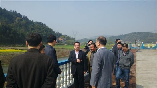 谭润洪深入乡镇调研基层党建工作