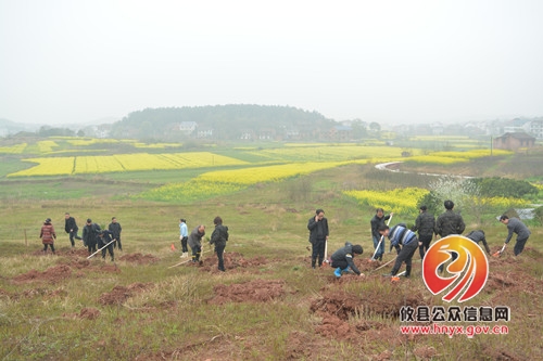 石羊塘镇组织机关干部义务植树