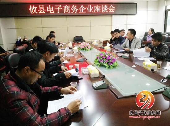 攸县召开电子商务企业座谈会