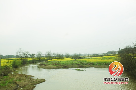 湖南坳万亩油菜花竞相盛开