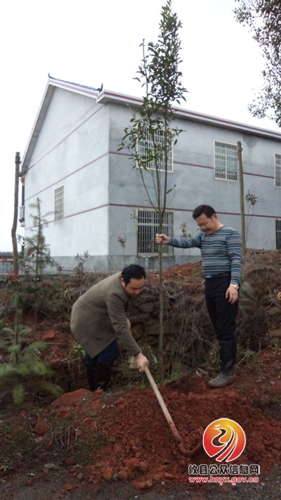 3.12植树节：湖南坳乡绿化步伐永不停歇