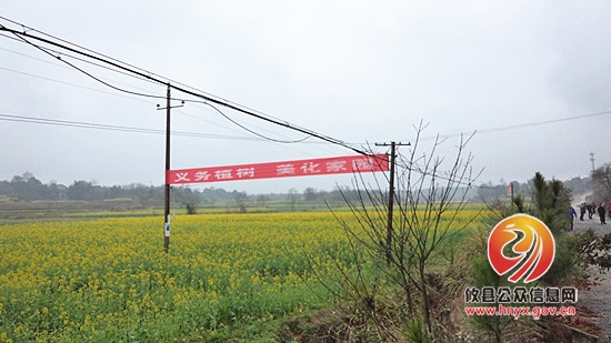 3.12植树节：湖南坳乡绿化步伐永不停歇