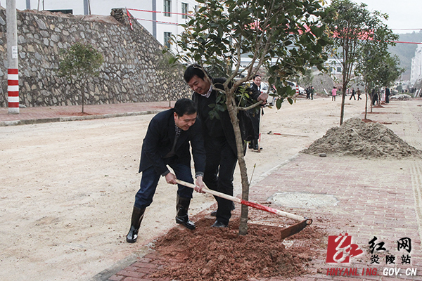 炎陵县四大家领导带头参加植树造林活动