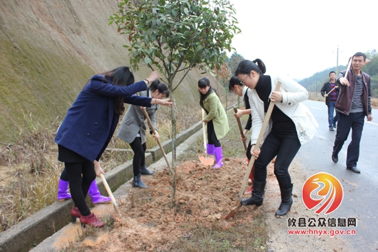 槚山乡开展义务植树活动
