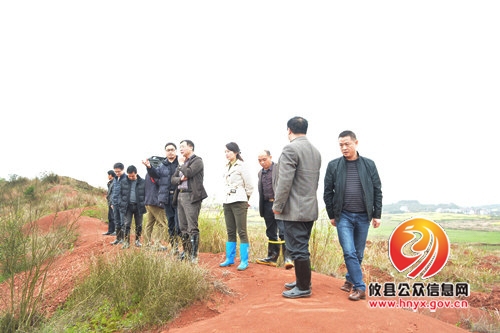 谭小宁一行督查石羊塘封山育林工作