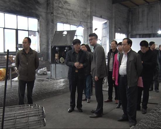 株洲县政协调研非公经济发展情况
