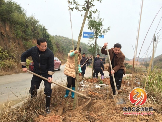 丫江桥镇开展植树造林活动　胡湘之等县领导参加