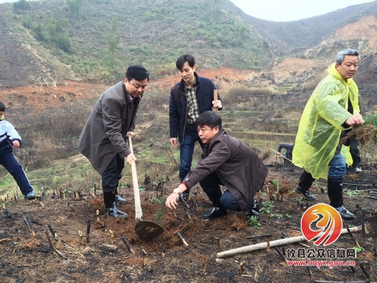 丫江桥镇开展植树造林活动　胡湘之等县领导参加