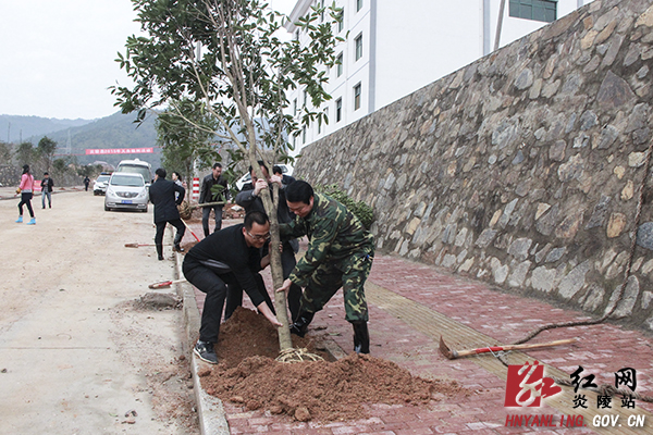 炎陵县四大家领导带头参加植树造林活动