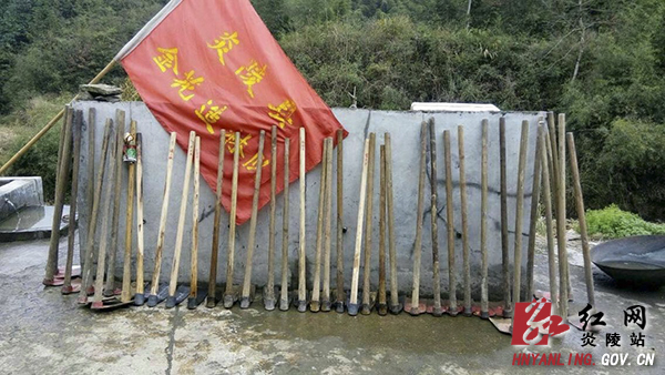 【独家报道】大山作证——张松林、龚厚国植树造林记实