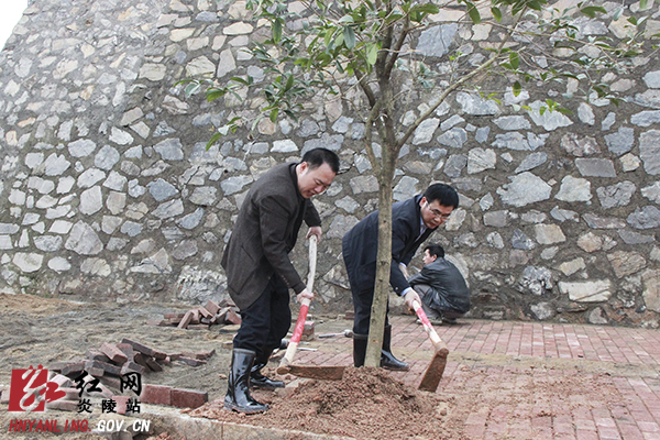 炎陵县四大家领导带头参加植树造林活动