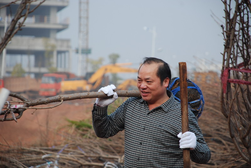 市国土资源局团委组织参加“绿色进社区万人义务植树”活动