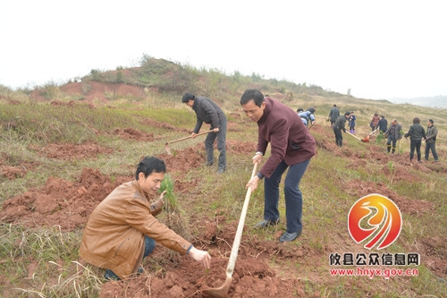 石羊塘镇组织机关干部义务植树