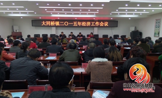 大同桥镇召开2015年全镇经济工作会议暨文明建设表彰大会