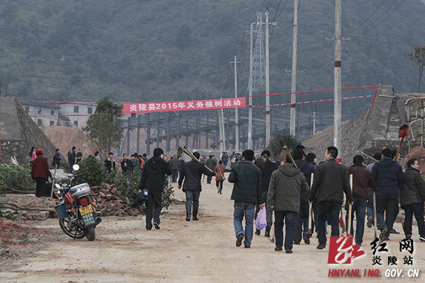 炎陵县四大家领导带头参加植树造林活动