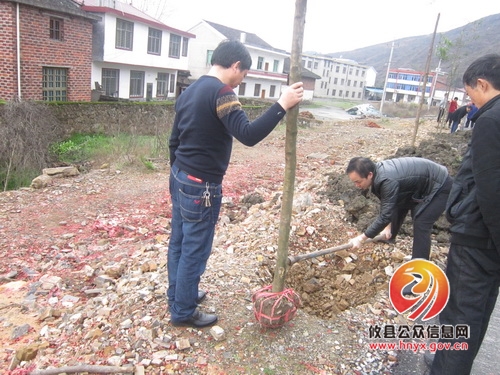 播种绿色，共建和谐家园