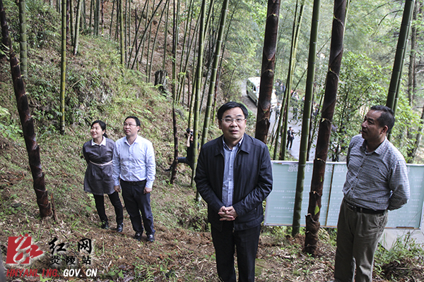 特色农业蓄势发力 促推扶贫开发
