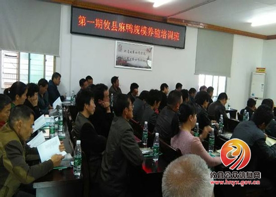 江桥街道办事处动物防疫站举办攸县麻鸭规模养殖技术培训班