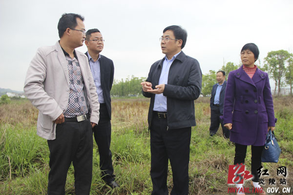 抓好“五大重点”推进天平村省“新农村示范村”建设