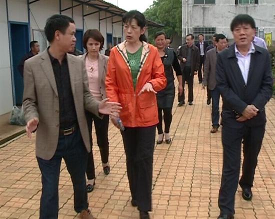 省政协来县调研新农村建设