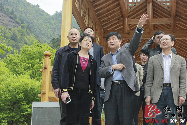 省政协民宗委来炎调研民族地区村级组织建设工作