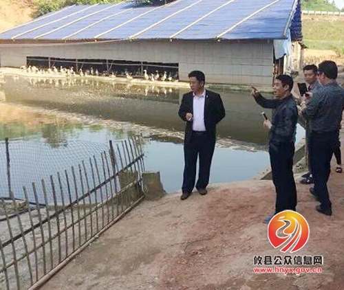 攸县畜牧水产局组织对弘峰鹅业进行调研