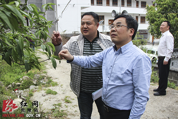 特色农业蓄势发力 促推扶贫开发