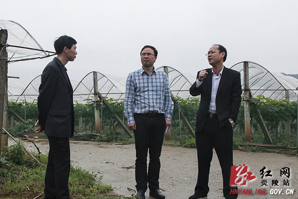文专文：奋战二季度 努力实现＂双过半＂