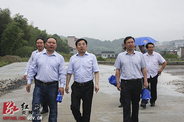 炎陵县召开"城镇扩容提质战役"流动现场会