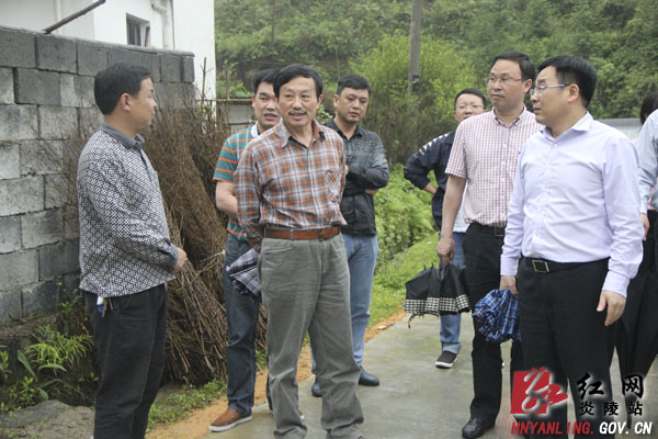 张雄来炎调研指导工作