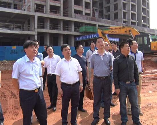谭润洪调研杨塘温泉项目建设情况