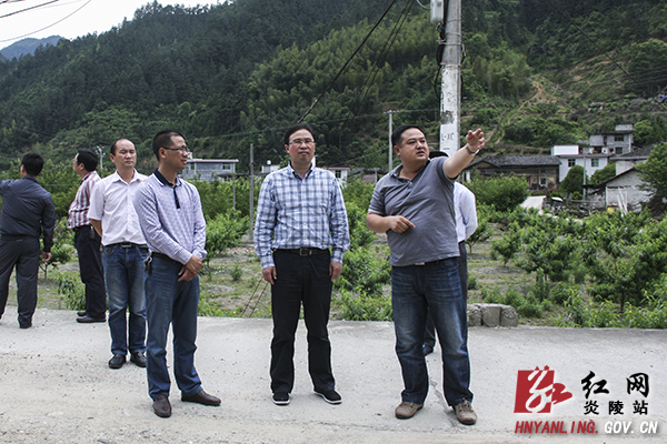 文专文：依托特色资源 不断壮大县域经济