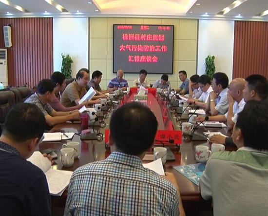 市人大副主任王建敏来县调研村庄规划和大气污染防治工作