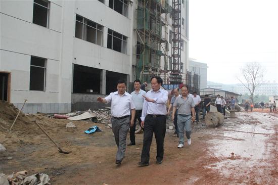 谭润洪调研重点商业项目建设情况