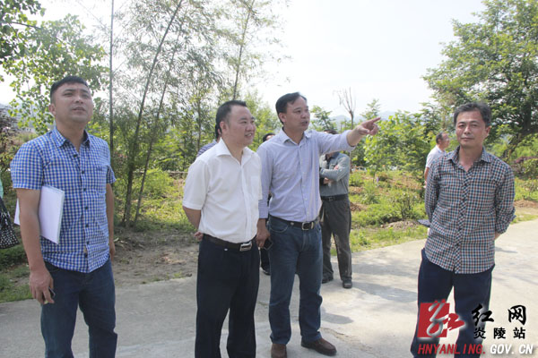 抓好五个持之以恒 全面推进＂美丽乡村＂示范村建设