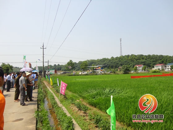 全市无人植保飞机现场演示会在攸举行