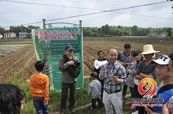 县摄影协会“五一”期间举办摘黄瓜趣味活动