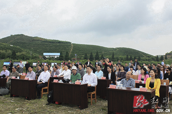 2015年中国&middot;湖南＂炎陵红茶＂万阳山品茗会成功举办