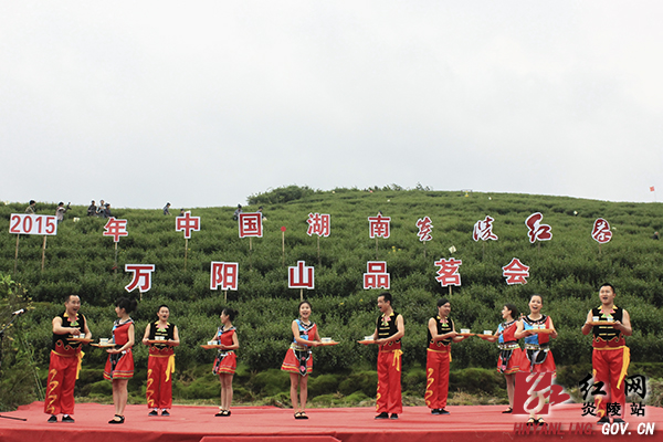 2015年中国&middot;湖南＂炎陵红茶＂万阳山品茗会成功举办