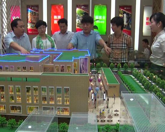 县政协主席会议成员视察中央时代广场项目
