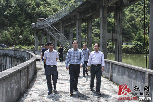 文专文：依托特色资源 不断壮大县域经济