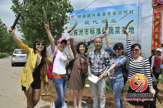 县摄影协会“五一”期间举办摘黄瓜趣味活动