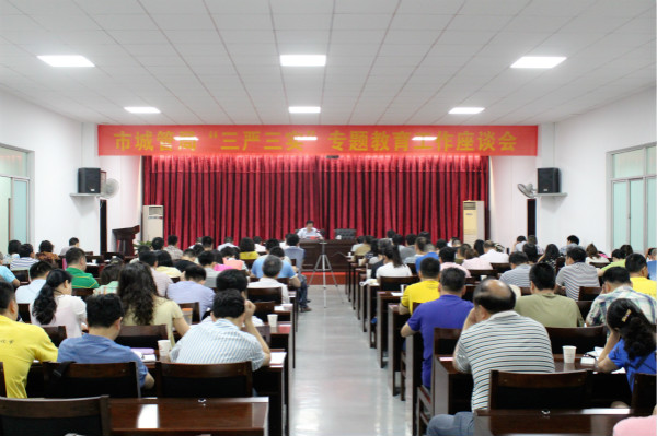 市城管局召开“三严三实”专题教育工作座谈会