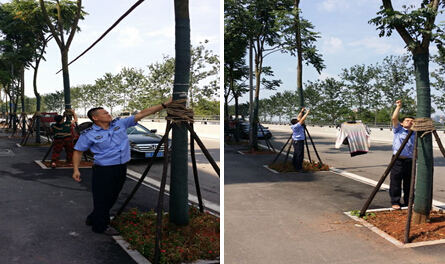 芦淞城管整治乱晾晒行为