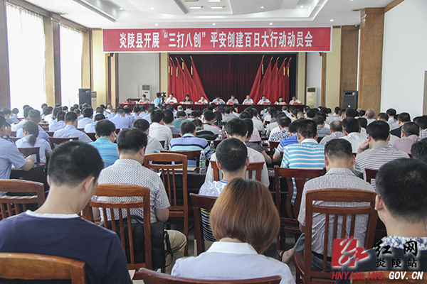 炎陵县召开“三打八创”平安创建百日大行动动员会