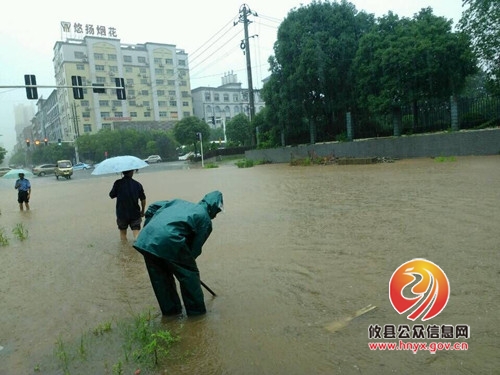 攸县市政园林管理处：不畏艰辛　排除雨患