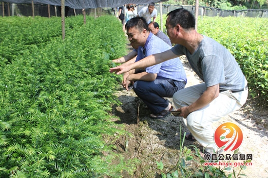 槚山乡召开二季度工作总结暨三季度工作调度会
