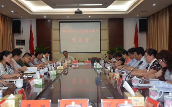 株洲县召开人大代表建议集中督办会