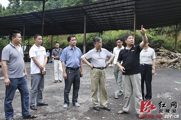 省人大环资委检查组来炎开展大气污染治理整改检查