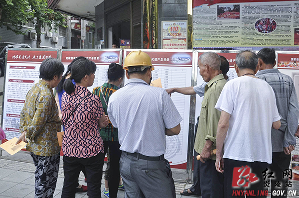 炎陵县开展第十个＂文化遗产日＂宣传活动
